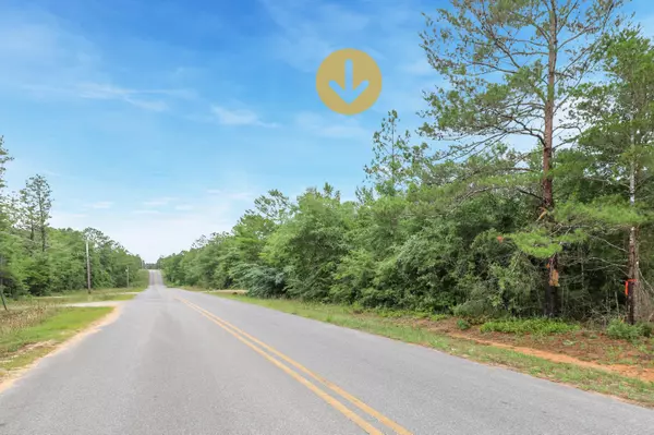 Defuniak Springs, FL 32433,000 W VIOLET Lane  #LOT 10