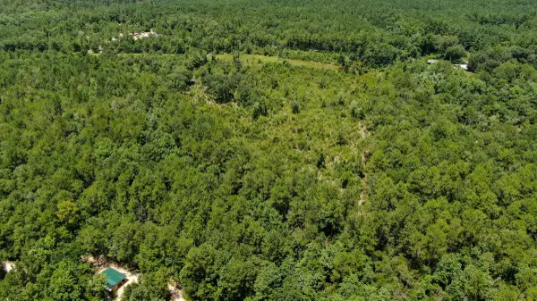 Ponce De Leon, FL 32455,10 ac Moccasin Forks Road