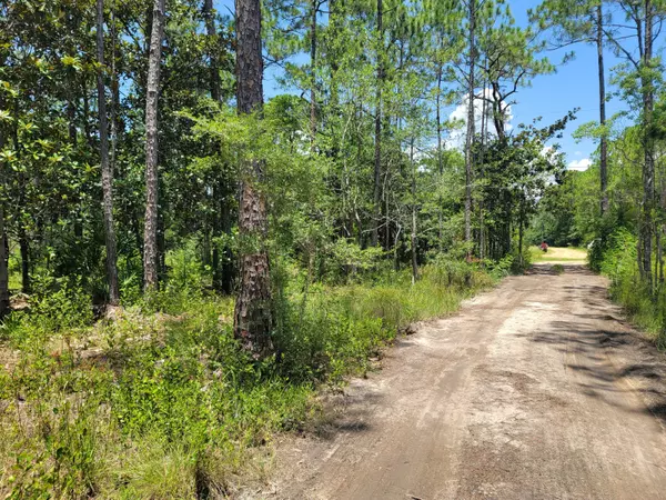 Santa Rosa Beach, FL 32459,Lot 1 1St Street  #Lot 1