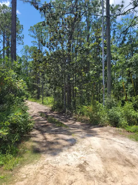 Lot 1 1St Street  #Lot 1, Santa Rosa Beach, FL 32459