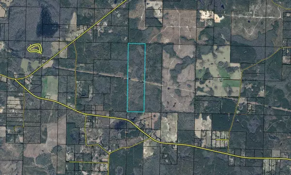 Vernon, FL 32462,320 Acres Wilderness Road