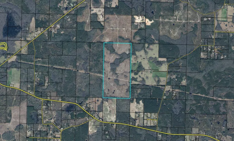 320 Acres Wilderness Road, Vernon, FL 32462