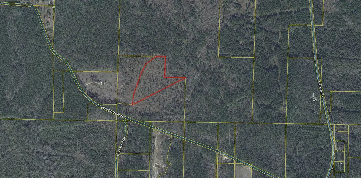 10 acres Crooked Creek Road, Ponce De Leon, FL 32455