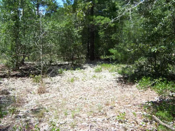 Defuniak Springs, FL 32433,Lot 12 Magnolia Lake Drive