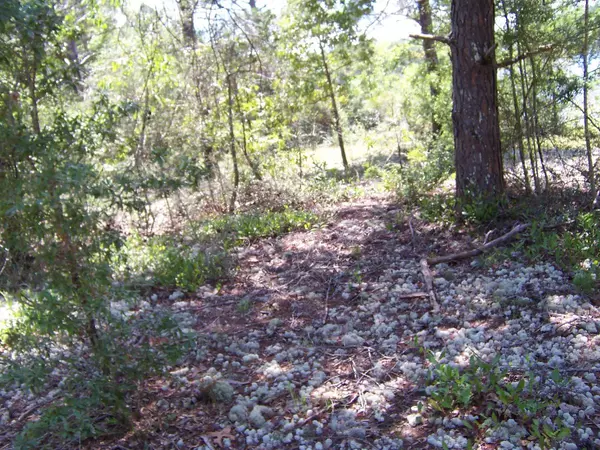 Defuniak Springs, FL 32433,Lot 12 Magnolia Lake Drive