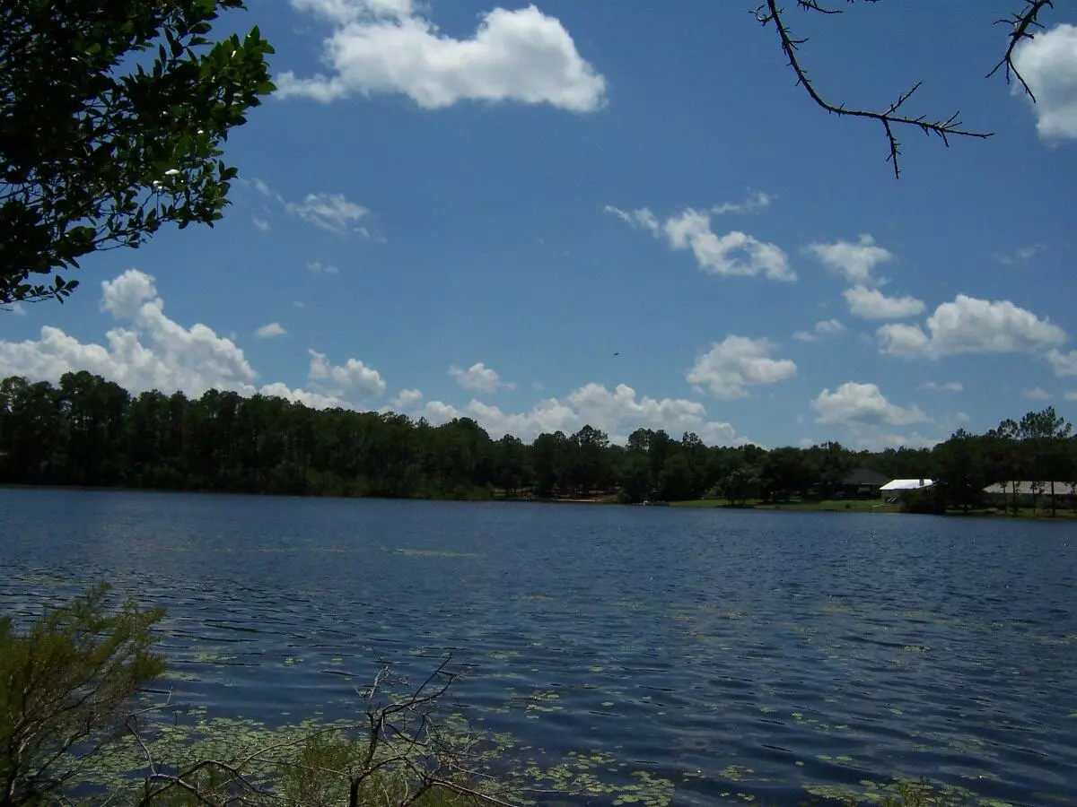 Defuniak Springs, FL 32433,Lot 12 Magnolia Lake Drive