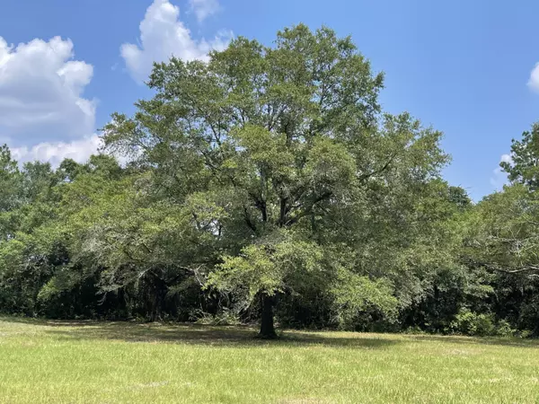 Crestview, FL 32536,Lot A&B Kingston Rd