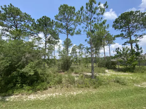 Freeport, FL 32439,Lot 23 W Club House Drive