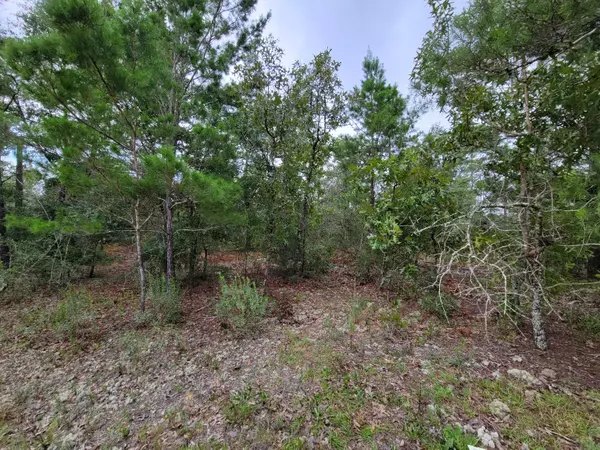 Lot 6 LaFavre Lane, Defuniak Springs, FL 32433