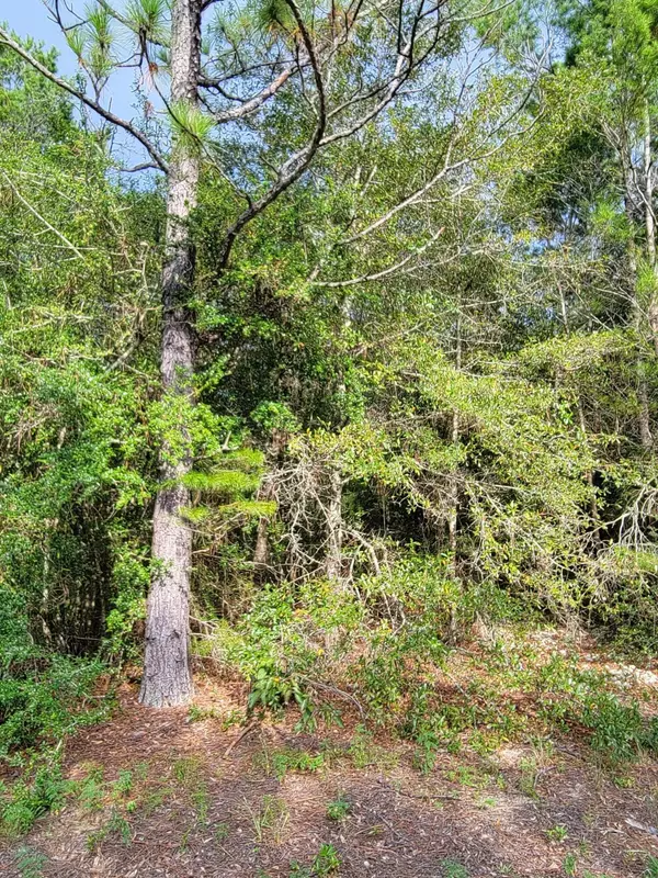 Defuniak Springs, FL 32433,5 acres Joe Anderson Road