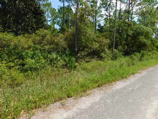 Santa Rosa Beach, FL 32459,Lot 21 Central 8th Street