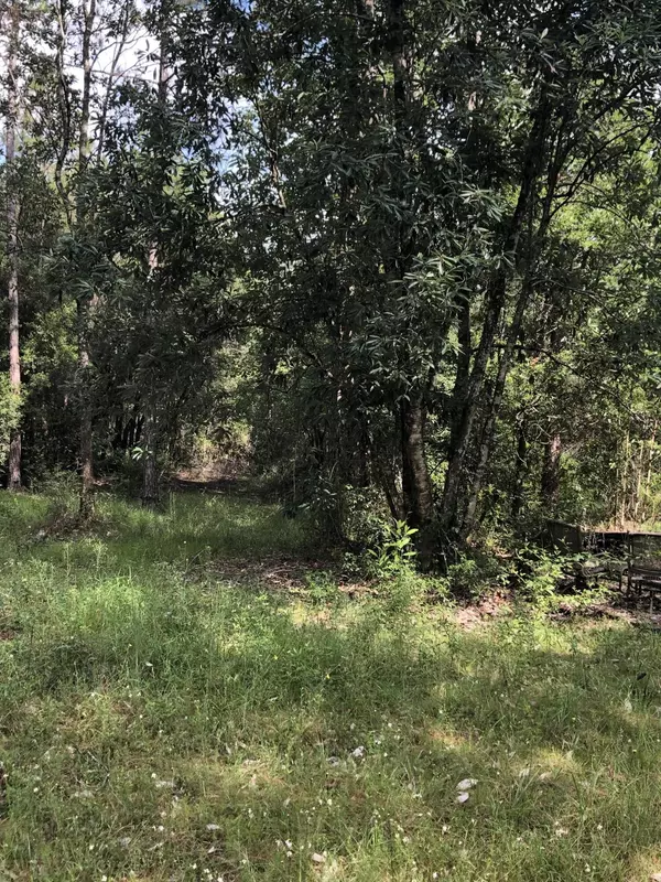 Laurel Hill, FL 32567,0 Planters South Drive