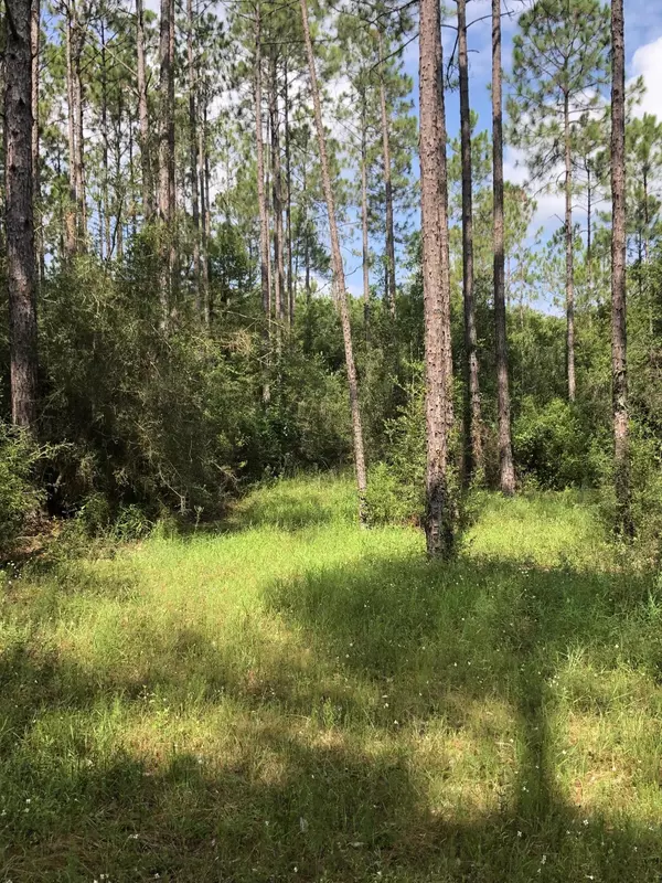 0 Planters South Drive, Laurel Hill, FL 32567