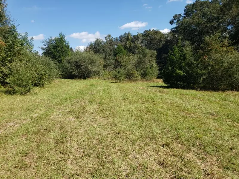 1890 Mathews - 39.62 Acres Road, Defuniak Springs, FL 32433