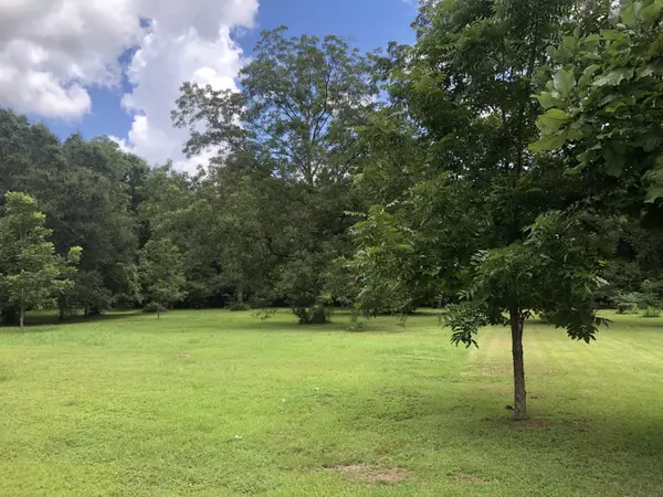 Baker, FL 32531,1 ac Elzie Road