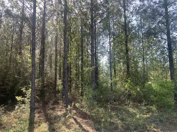 Milton, FL 32570,20+/-Ac Indian Ford Road  #Parcel K&L