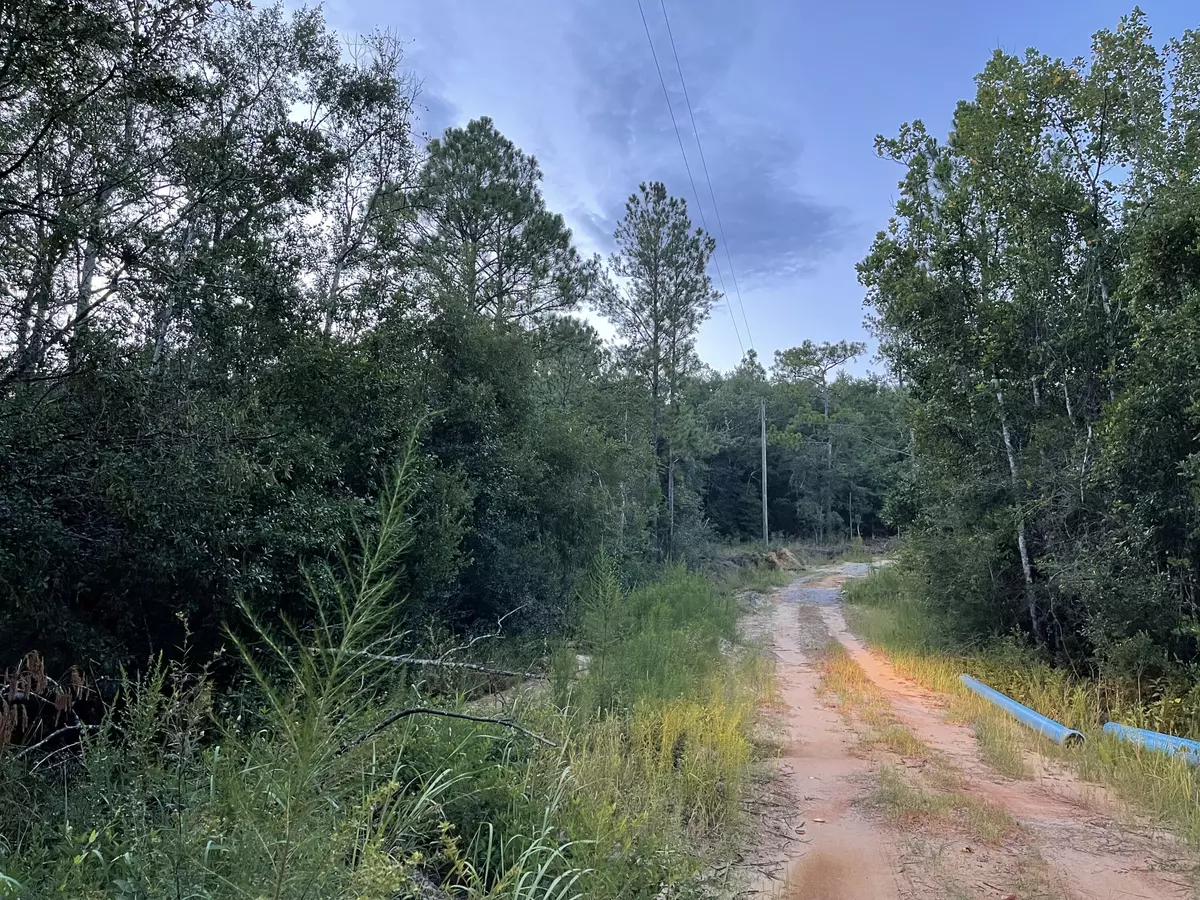 Baker, FL 32531,3.8+/- AC Cotton Creek Road