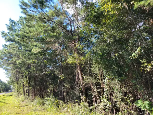 Defuniak Springs, FL 32433,15.7 acres Douglass Crossroad