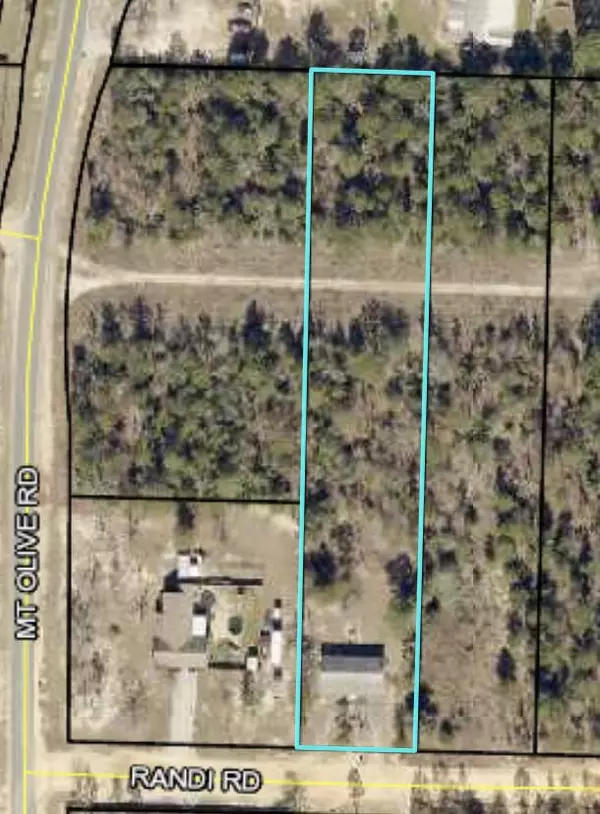 Crestview, FL 32539,4007 Randi Road