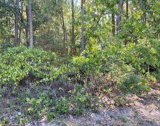 1.06 acres Stanley Drive, Freeport, FL 32439