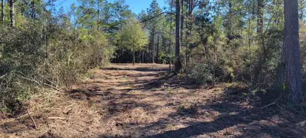 Defuniak Springs, FL 32433,000 Watson Road