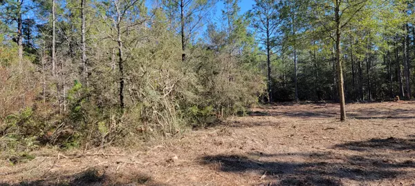 Defuniak Springs, FL 32433,000 Watson Road