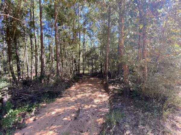 Crestview, FL 32539,24+/- AC Dorcas