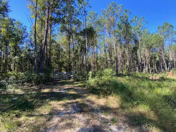 Crestview, FL 32539,24+/- AC Dorcas