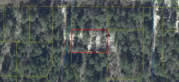 Defuniak Springs, FL 32433,25 Canterbury Court