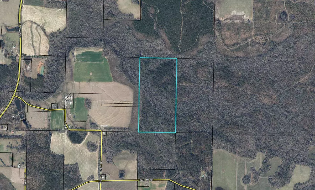 Chipley, FL 32428,80 Acres Bahoma Road