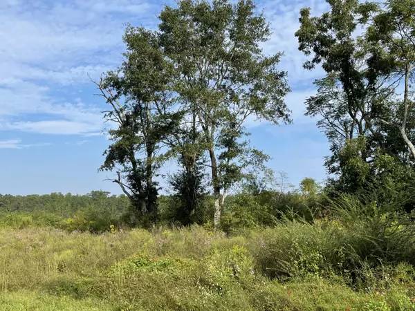 Baker, FL 32531,18.8+/- AC Beaver Creek Road  #Parcel A