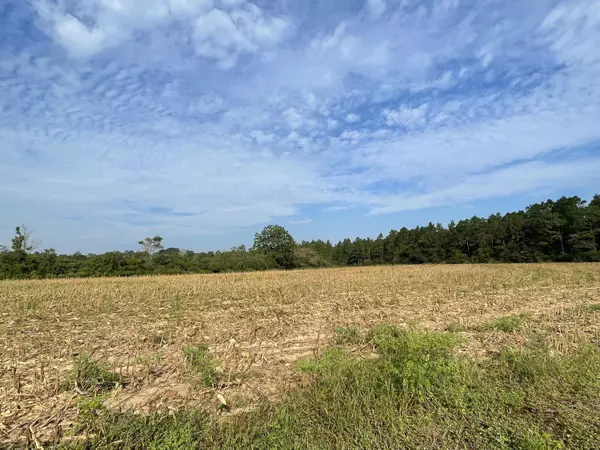 Baker, FL 32531,18.8+/- AC Beaver Creek Road  #Parcel A