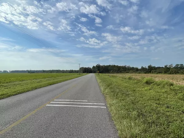 Baker, FL 32531,17+/- AC Beaver Creek Road  #Parcel B