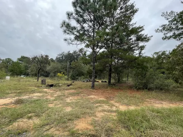 Defuniak Springs, FL 32433,Lot 2 Woodlands Boulevard