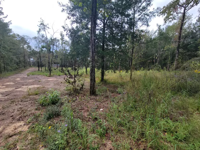 33.2 acres Crooked Creek Road, Ponce De Leon, FL 32455