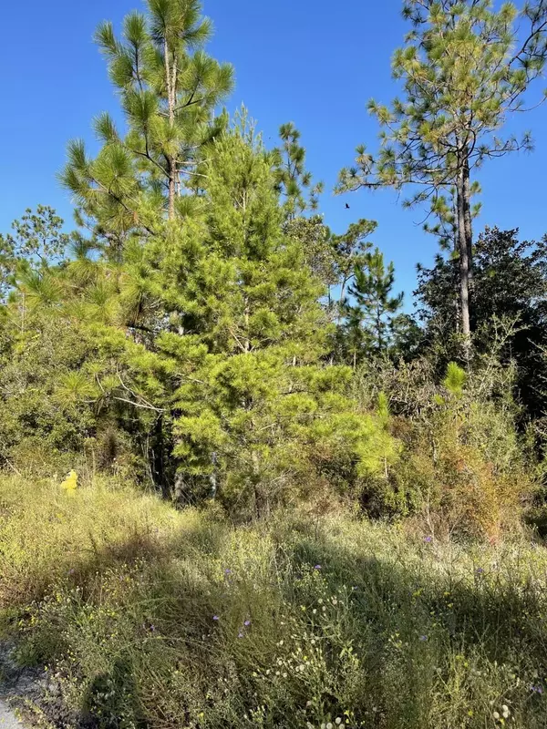 Freeport, FL 32439,Lot 6 Sandhill Court