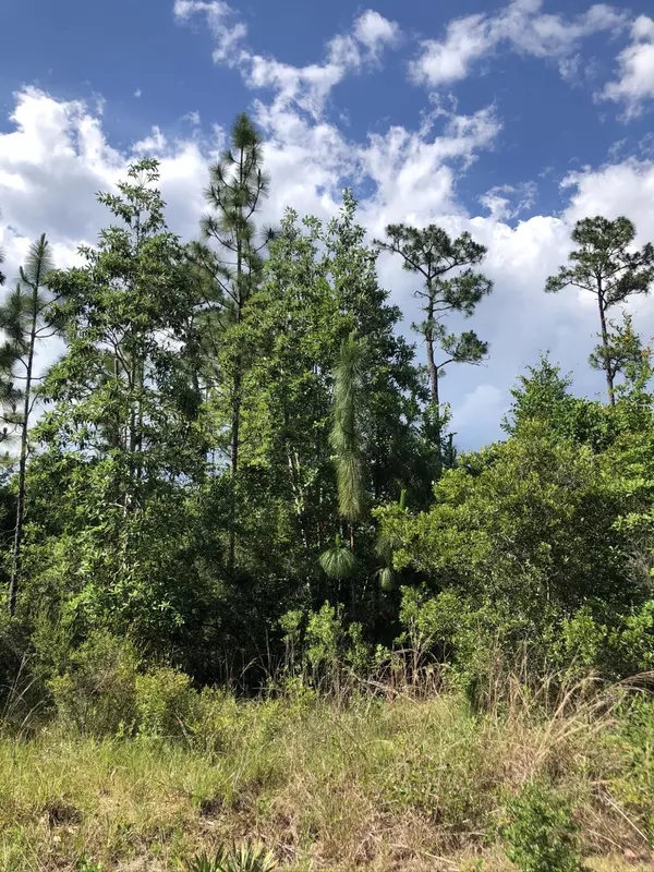 Freeport, FL 32439,Lot 6 Sandhill Court