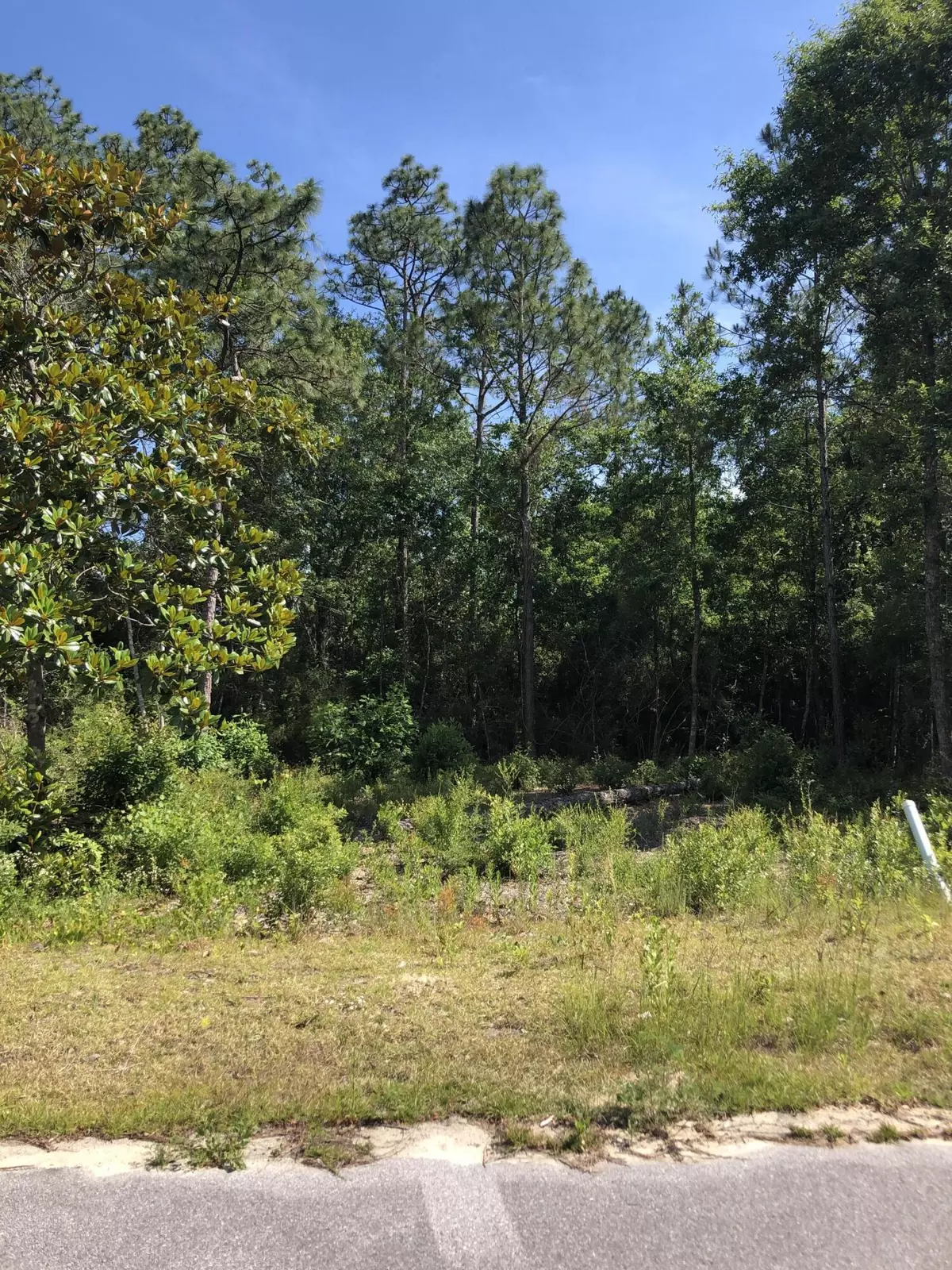 Freeport, FL 32439,Lot 6 Sandhill Court