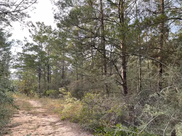 Defuniak Springs, FL 32433,Lots 1 & 2 Girl Scout Road