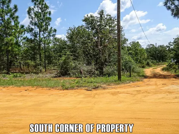 Defuniak Springs, FL 32433,0 Patch Road