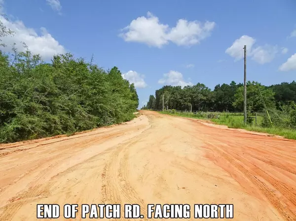 Defuniak Springs, FL 32433,0 Patch Road