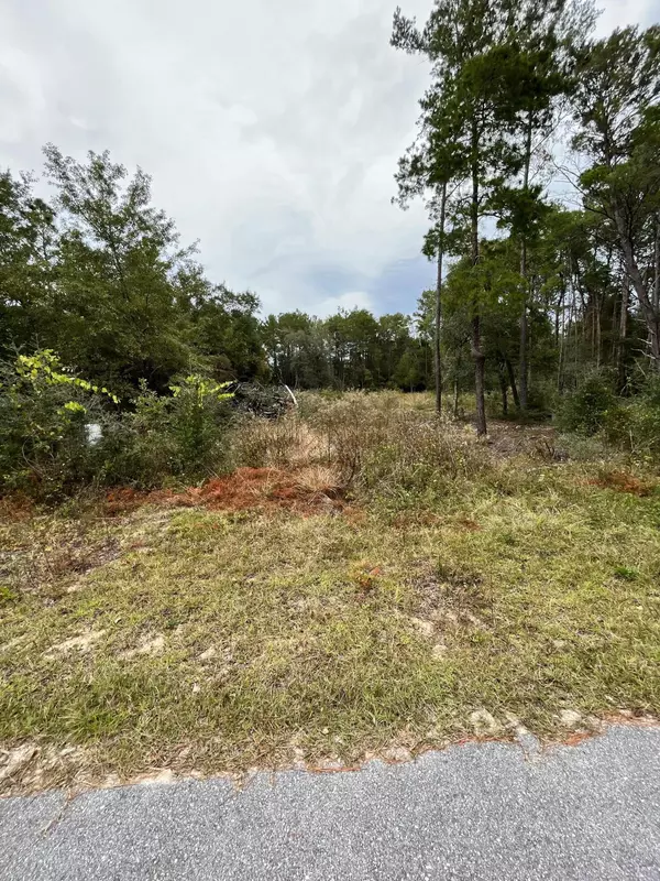 Freeport, FL 32439,Lot 6 McCloud Road