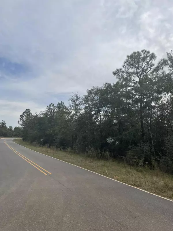 119 & 120 Brookside Drive, Defuniak Springs, FL 32433