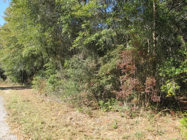 Defuniak Springs, FL 32433,Lot 2 Gator Run