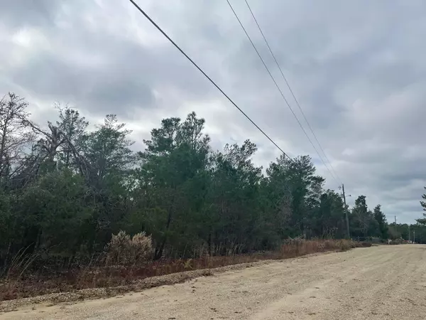 Defuniak Springs, FL 32433,Lot 5 & 6 Rosewood Lane