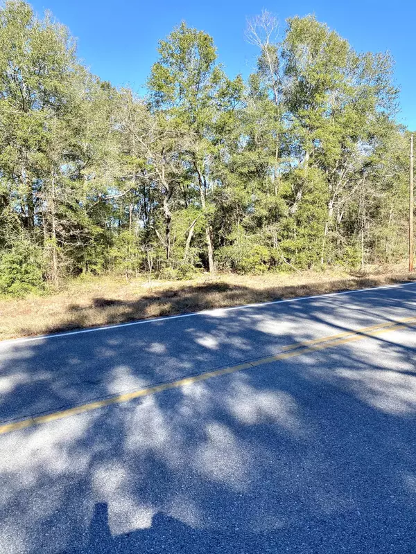 Defuniak Springs, FL 32435,7 ACRES Macedonia Church Road