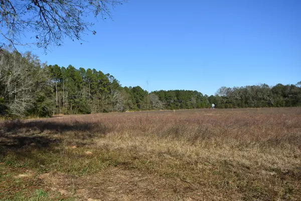 Baker, FL 32531,15 ac Shady Grove Road