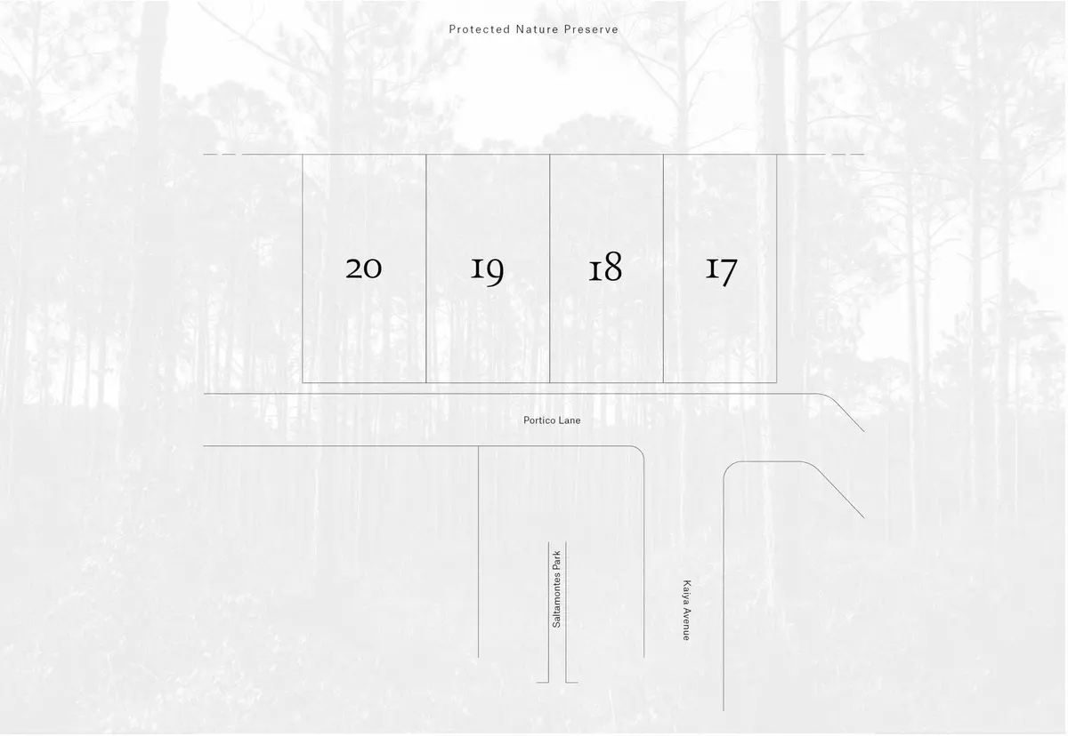 Inlet Beach, FL 32461,41 Portico Avenue  #Lot 18