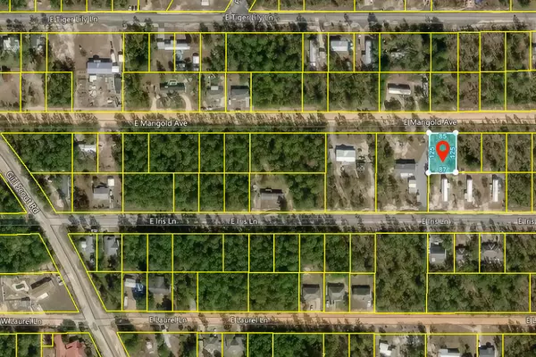 Defuniak Springs, FL 32433,000 E Marigold Avenue  #LOT 1