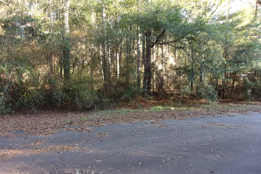 Lot 1 Oaklane Street, Crestview, FL 32539